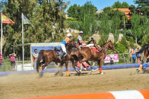 2019 Horseball CM 013