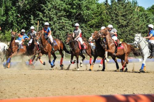 2019 Horseball CM 014