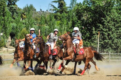 2019 Horseball CM 015