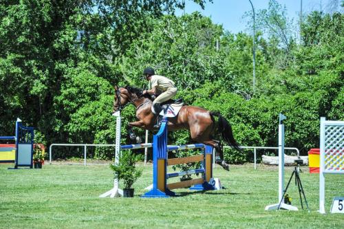 2019 CCompletoYM 001