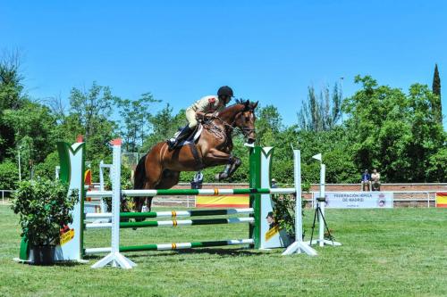 2019 CCompletoYM 003