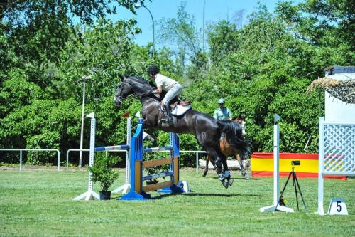 2019 CCompletoYM 005