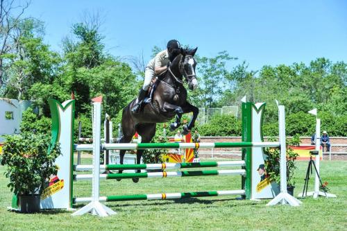 2019 CCompletoYM 006