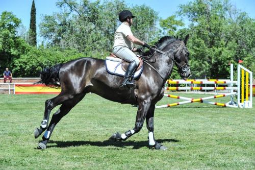 2019 CCompletoYM 007