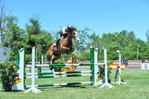 2019 CCompletoYM 010