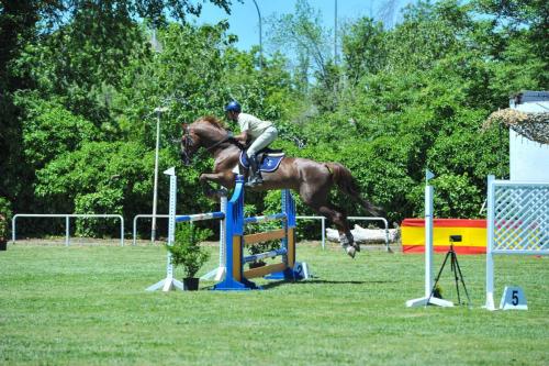 2019 CCompletoYM 024