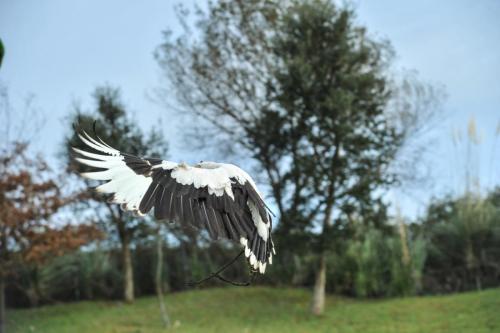 2019 Cabarcenos 005
