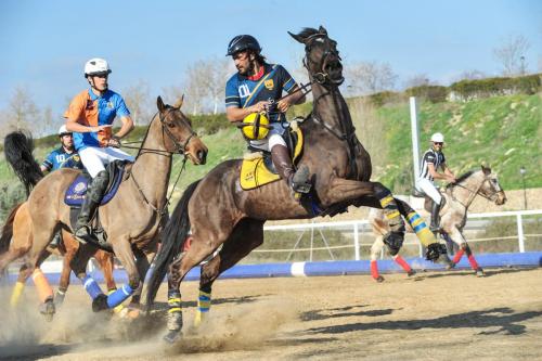 2020 HorseballLaPlaza 003