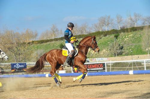 2020 HorseballLaPlaza 007