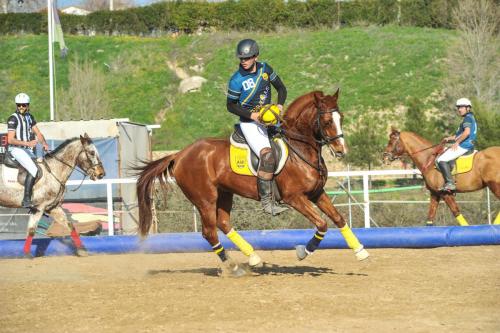 2020 HorseballLaPlaza 008