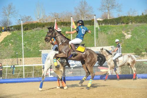 2020 HorseballLaPlaza 009