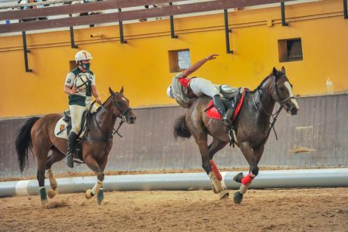 20200918_LNHV_03M-Alforges-UCJC