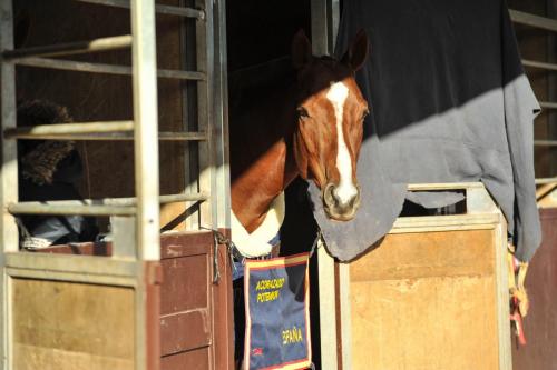 20201206_LNH2021_Domingo