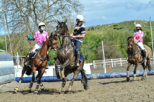 20210115_LigaHorseballMadrid21-1Jornada