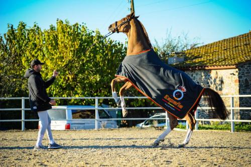 20211204_3JornadaLigaNacionalHorseball21_22
