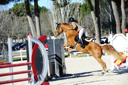 20250223_SocialSaltoLaDehesa