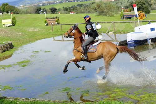 20250405_CCILosNavazuelos